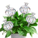 YYBD Plant Watering Globes Set of 4 Iridescent Gradient Self Watering Globes Clear Glass Waterer Pomegranate Self Plant Watering Device Automatic Self Water Bulb for Indoor Outdoor Plants Accessory