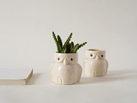 LOCALKALA Local Kala's Elegant Ceramic Owl Planters (Set of 2) Indoor Planter Plant Pot with Drainage Hole for Table/Desk/Gifting/Garden Size (6 cm X 7.5 cm) - Without Plant