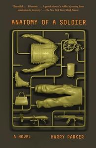 Anatomy of
