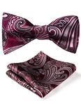 HISDERN Self Tie Bow Tie Men's Burgundy Bowtie Adjustable Bows Tie Set Classic Paisley Dickie Bow Ties for Business Tuxedo Wedding Party Prom with Gift Box