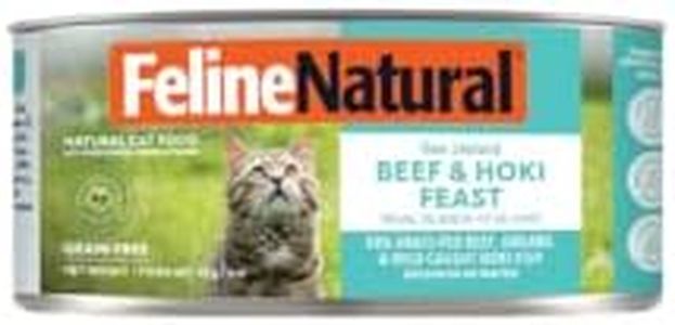 Feline Nat