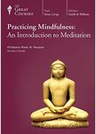 Practicing Mindfulness: An Introduction to Meditation