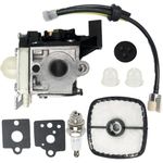 Ajnlx Carburetor Kit Compatible with Echo HC2420 HC3020 HCS3020 HCS4020 HC2020 A021004900 replacement Carb