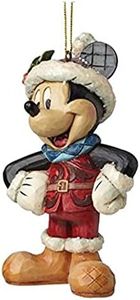 Disney, Fi