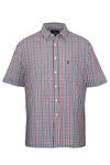 Champion Mens Doncaster Country Casual Short Sleeve Shirt - Blue Check - XL