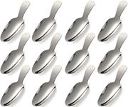 Dessert Spoon 12 Pcs Stainless Steel Salt Spoon Short Handle Coffee Scoop Mini Tea Spoons for Small Jars, Sugar, honey, Spice, Ice Cream, Milk Powder (12 x Silver)