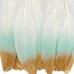 Wrapables® Gold Dipped Feathers, Bo