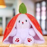 DIKANG Strawberry Bunny Plush Toys, Rabbit Soft Toys with Zipper, Strawberry Rabbit Soft Toys for Girls, Reversible Bunny Soft Toy, Cute Plushies Gift for Girls & Kids (30CM, Carrot Bunny)