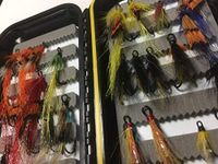 BestCity Salmon Fly Box with 24 Double Salmon Flies