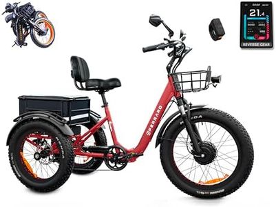 Perraro Panda Foldable Electric Trike for Adults, 750W Motor, 3 Wheel Electric Bike with 90-Mile Long Range, Parking Brake, Differential, Fat Tire e Trike with 48V 21Ah Battery