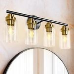 DLLT 4-Light Bathroom Vanity Light, Rustic Bathroom Light with Clear Glass Shade, Mattte Black and Metal Gold Finish, Modern Vanity Light for Bathroom, Dressing Table, Kitchen, Mirror Cabinets