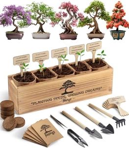 Avergo Bonsai Tree Kit – 5X Unique Japanese Bonzai Trees | Complete Indoor Bonsai Starter Kit for Growing Bonsai Plants with Tools & Planters – Gardening Gifts for Women & Men