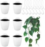Homend 4-Inch Hanging Pot Set - 7 p