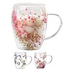 3Pcs Novel Double Walled Glass Mugs - 350ml Dried Flowers Clear Coffee Mug | Insulated Heat Resistant Double Walled Coffee Mug | Creative Clear Glass Cups with Handle, Gifts for Women Best Friend