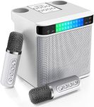 Karaoke Machine with 2 Wireless Mic