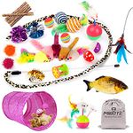 MIBOTE 28Pcs Cat Toys Kitten Toys Assorted, Cat Tunnel Catnip Fish Feather Teaser Wand Fish Fluffy Mouse Mice Balls and Bells Toys for Indoor Cat Puppy Kitty Interactive Cat Toy Set