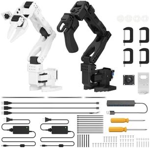 AI Robotic