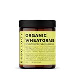 Erbology Organic Wheatgrass Powder 90g - 45 Servings - Body Cleansing and Gut Health Support - Rich in Chlorophyll and Iron - Sustainably Sourced in Europe - Small Batch - Vegan - GMO-Free