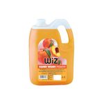 Wiz Peach Handwash Liquid Soap Refill Can - 5L | Germ Protection | Hand Wash with Added pH-Balanced & Moisturizers for Soft & Gentle Hands | Suitable for all Skin Types