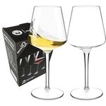 MICHLEY Floating Wine Glasses for The Pool,Unbreakable Plastic Wine Glasses Goblets 100% Tritan Reusable Stemware for Indoor and Outdoor Use,New Home Essentials,Flute Cup Set of 2