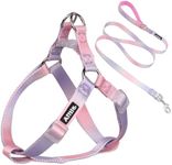 AIITLE Dog Harness and Leash Set - No Pull Pet Harness Soft Adjustable Nylon Step in Puppy Vest Outdoor Walking - Transparent Buckle - Training Running for Extra Small Dogs,Pink-Purple Gradient XS