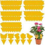 Fruit Fly Traps, Triitech 50 Pack Y
