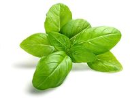 Krypton Krypton Go Green Basil Herb, Organic Seeds untreated 100 Seeds Pack