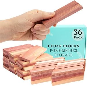 36 Cedar B