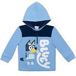 Bluey Toddler Boys Fleece Half Zip Hoodie 4T Blue