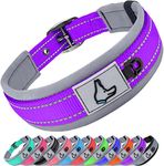 Joytale Reflective Dog Collar Medium | Ultra Comfy Soft Neoprene Padded | Heavy Duty Metal Belt Buckle, Purple