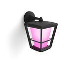 Philips Hue Econic White and Colour Ambiance LED Smart Garden Wall Light [Down Lantern], Works with Alexa, Google Assistant and Apple Homekit