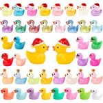 Mini Ducks 50 Pack Tiny Ducks Christmas Little Plastic Ducks Mini Resin Animals Figures to Hide Miniature Ducks Figurines Glow in the Dark for Fairy Garden Accessories Micro Landscape Gifts Colorful