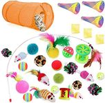 30 Pcs Cat Toys Set Kitten Interactive Cat Toys for Indoor Cats Assortments 2 Way Hole Cat Tunnel, Feather Wand Fun Chew Sticks, Crinkle Cat Toys for Indoor & Outdoor Playing jouet Pour Chat (Orange)