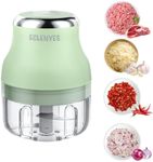 Vegetable Chopper, 100ML Electric Garlic Chopper, Rechargeable Mini Blender, Powerful Small Food Processor, Blender to Vegetable, Wireless Food Cutter for Ginger, Chili, Fruit, Meat, etc（Green）