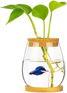 Desktop Fish Bowl Clear Glass Small Fish Tank with Wood Lid and Bamboo Stand for Betta Fish Plants Terrarium Home Office Decoration Gifts