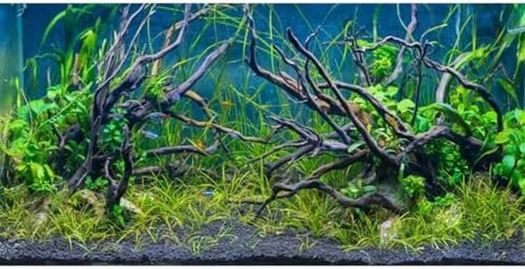 AWERT 48x18 inches Tropical Fish Tank Background River Bed & Lake Aquatic Plant Undersea Tree Branch Aquarium Background Vinyl