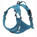 TrueLove Dog Harness TLH5651 No-pull Reflective Stitching Ensure Night Visibility, Outdoor Adventure Big Dog Harness Perfect Match Puppy Vest (Blue,M)