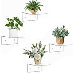 Parikshit Sublimation Invisible Small 4 pcs Wall Rack Shelf Plant Stand for Living Room Bedroom Home Decor Bathroom Kitchen Office School