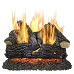 Pleasant Hearth VL-AA24D Arlington Ash Vented Gas Log Set, 55000 BTU, 24"