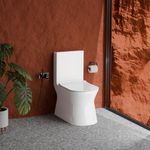 WASSMIST Commode Toilet | Western Commode For Toilet | Rimless | SoftClose Toilet Seat | S-Trap Outlate