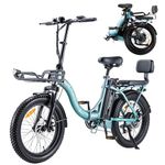 TWOFISH Electric Bike for Adults, 20"*3.0" Fat Tire Folding Electric Bicycle with 36V 17.8AH Removable Battery 7 Speed 25km/h 80-100km Range Disc Brake IP54 Waterproof, TF-2 (Blue)