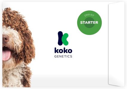 Koko Genetics Dog DNA Test Kit – Breed & Health Screening