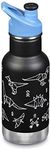 Klean Kanteen Insulated Kid Classic 12oz Paper Dinos, 1 EA