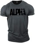 GYMTIER Alpha Gym T-Shirt - Bodybuilding Workout Training Top, Grey, Large