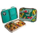 Basil Bento Box - Lunch Box for Kids, 900 ml | 3 Compartment Lunch Box | Stainless Steel Tiffin Box for Kids | Leak Proof Lunch Box | Ideal Tiffin Box for Kids for School | Bento Lunch Box - Green