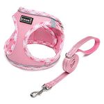 DORAMIO Step-in Dog Harness and Leash Set, Soft Mesh No-Chock Reflective Breathable Easy Walk Lightweight Vest Harnesses with Safety Buckle for Small Medium Dogs, Cats, Puppies (Pink, XXS)