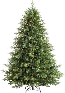 WeRChristm