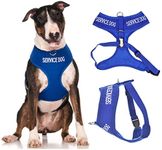 SERVICE DOG (Do Not Disturb/Dog Is Working) Blue Colour Coded Non-Pull Front and Back D Ring Padded and Waterproof Vest Dog Harness PREVENTS Accidents By Warning Others Of Your Dog In Advance (L)