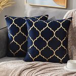 Navy Cushion Covers 40 x 40 Throw Pillow Case Soft Modern Decorative Square Pillow Covers Gold Foil Printing Luxurious Velvet Pillowcases for Livingroom Sofa Chair Bedroom Office Patio Garden 2 Pack