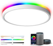 TALOYA 18 Inch Flush Mount Light Fi